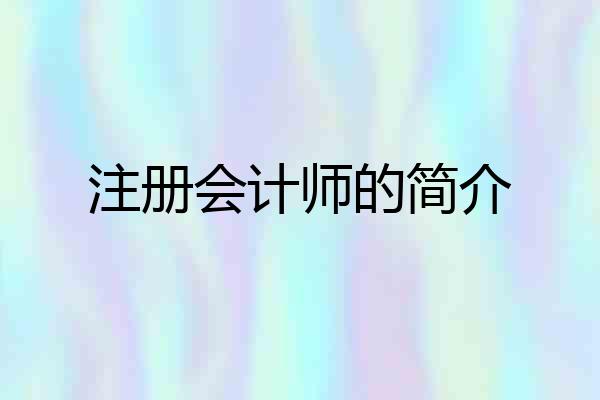 注册会计师的简介
