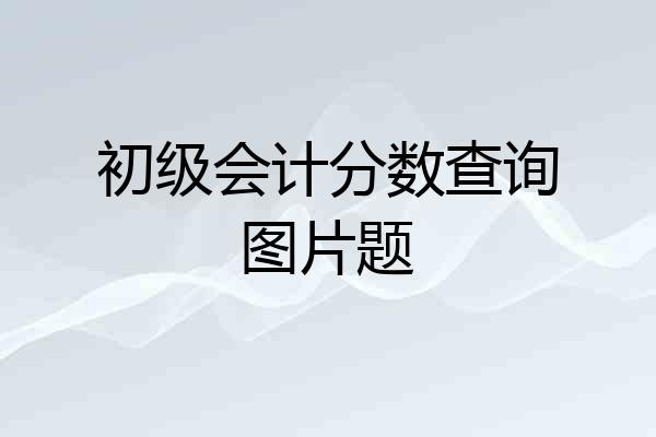 初级会计分数查询图片题
