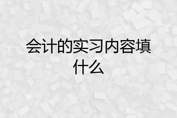 会计的实习内容填什么