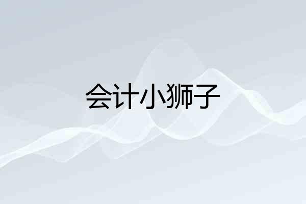会计小狮子