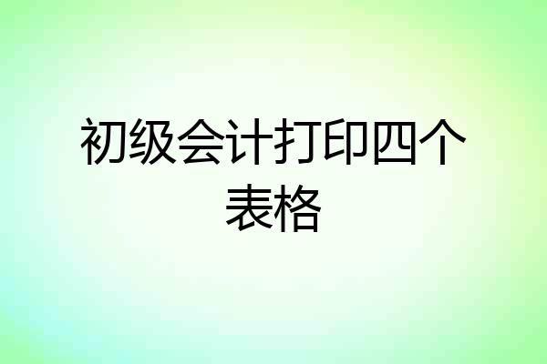 初级会计打印四个表格