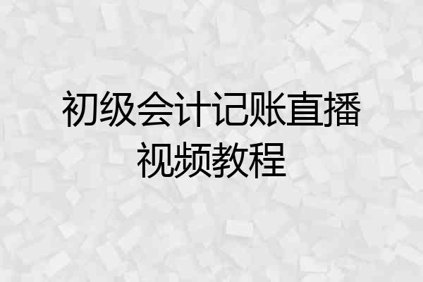 初级会计记账直播视频教程