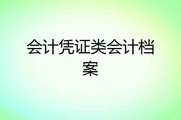 会计凭证类会计档案