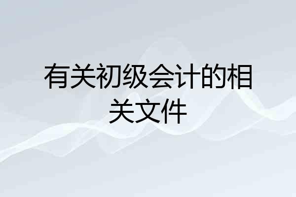 有关初级会计的相关文件