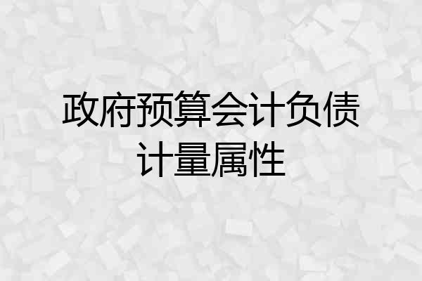 政府预算会计负债计量属性
