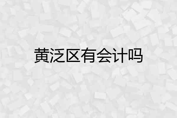 黄泛区有会计吗