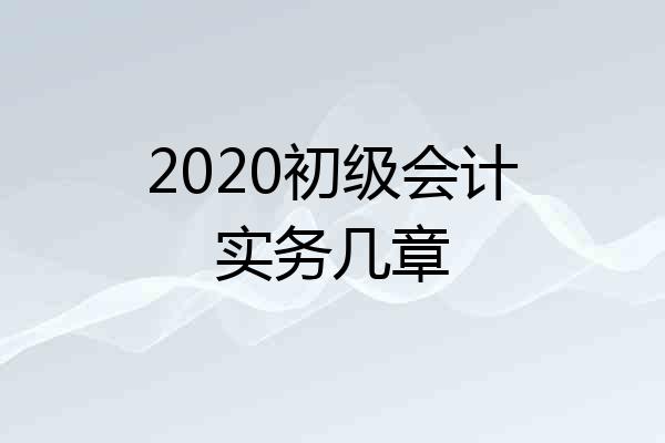 2020初级会计实务几章