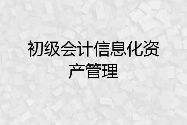 初级会计信息化资产管理