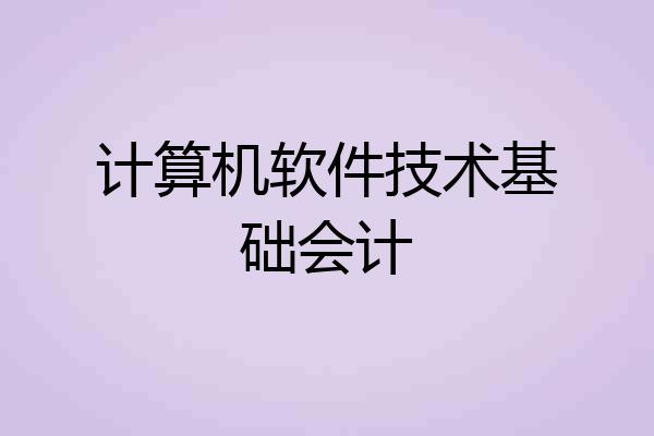 计算机软件技术基础会计