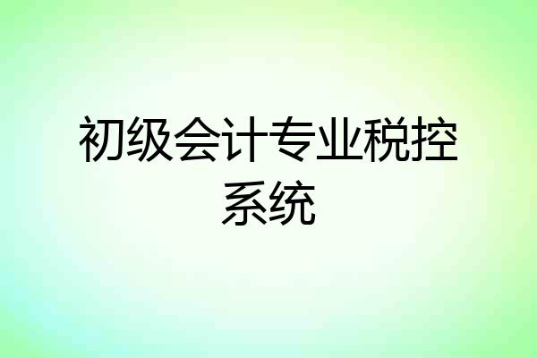 初级会计专业税控系统