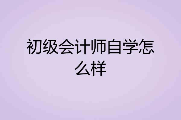初级会计师自学怎么样