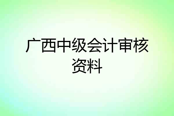 广西中级会计审核资料