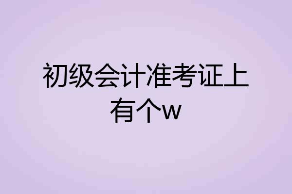 初级会计准考证上有个w