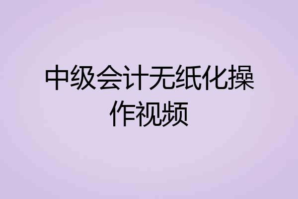 中级会计无纸化操作视频