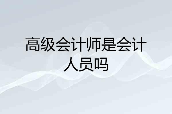 高级会计师是会计人员吗