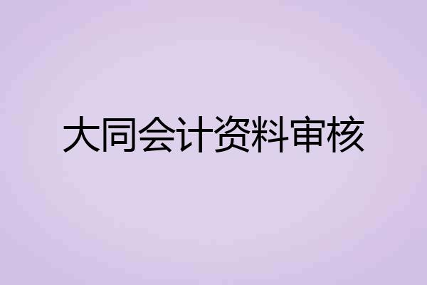 大同会计资料审核