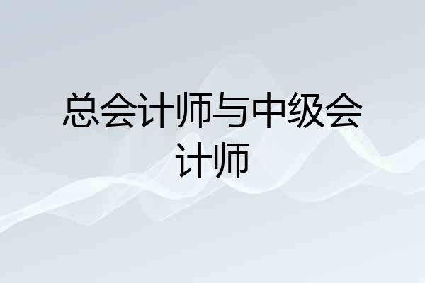 总会计师与中级会计师