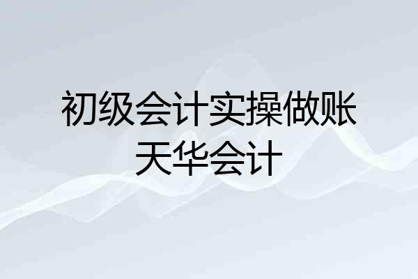 初级会计实操做账天华会计