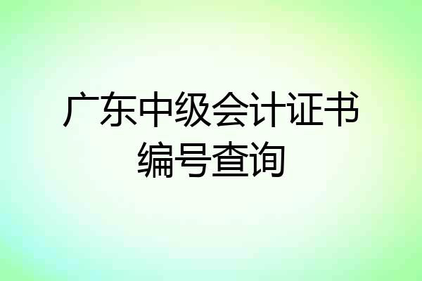广东中级会计证书编号查询