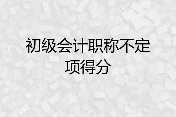 初级会计职称不定项得分