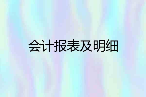 会计报表及明细