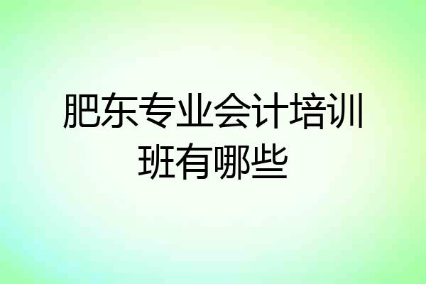 肥东专业会计培训班有哪些