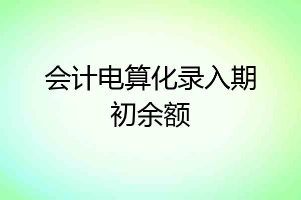 会计电算化录入期初余额