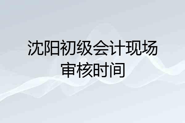 沈阳初级会计现场审核时间