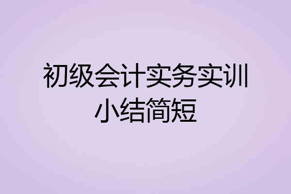 初级会计实务实训小结简短
