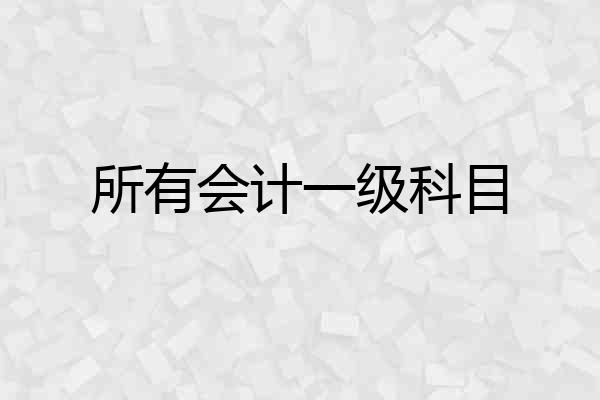 所有会计一级科目