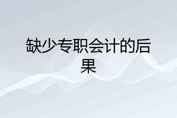 缺少专职会计的后果