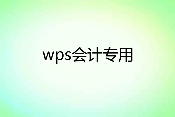 wps会计专用