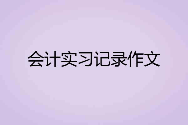会计实习记录作文
