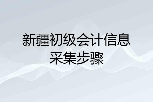 新疆初级会计信息采集步骤