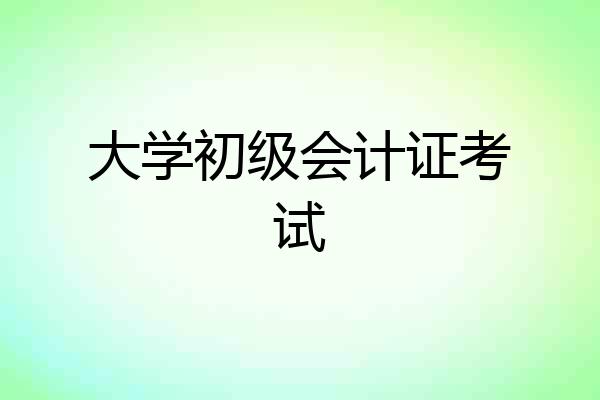 大学初级会计证考试