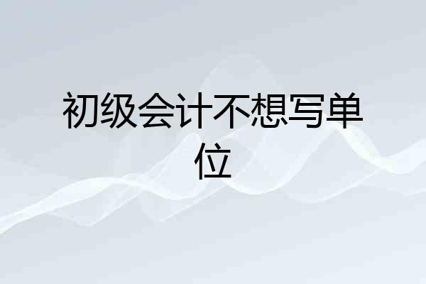 初级会计不想写单位