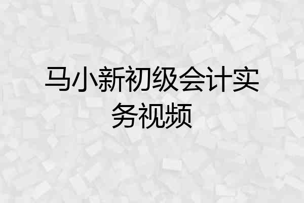 马小新初级会计实务视频