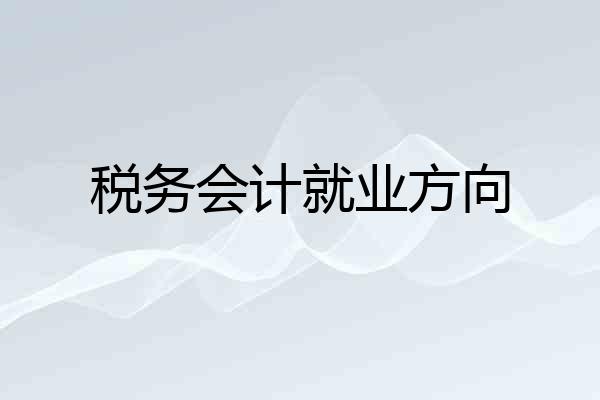 税务会计就业方向
