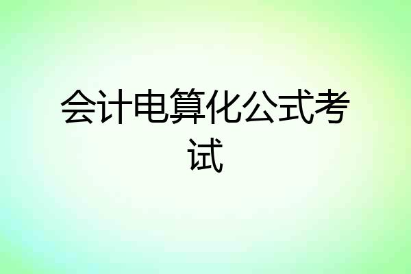 会计电算化公式考试