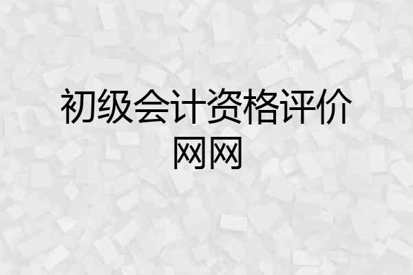 初级会计资格评价网网