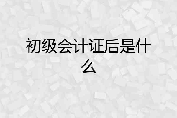 初级会计证后是什么