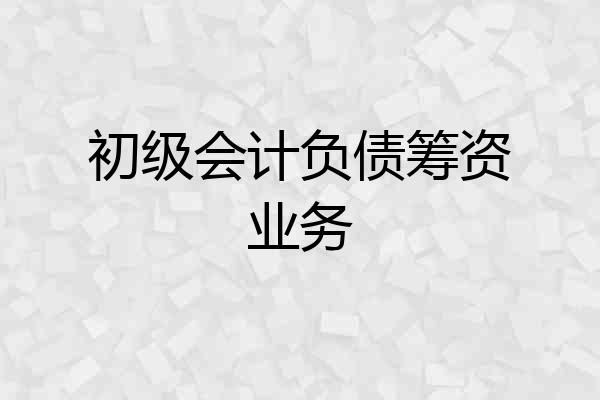 初级会计负债筹资业务