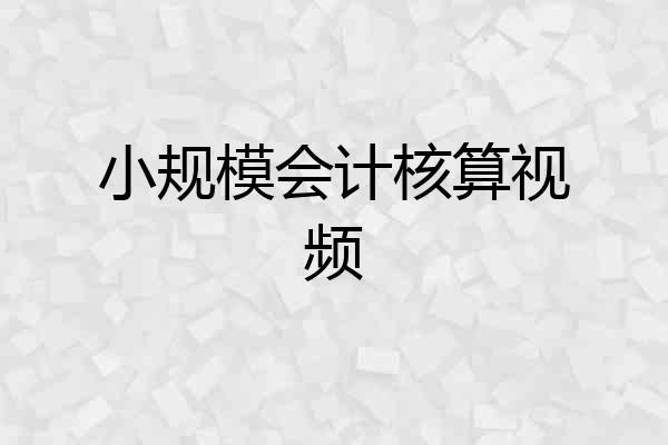 小规模会计核算视频