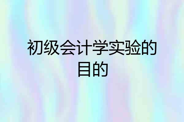 初级会计学实验的目的