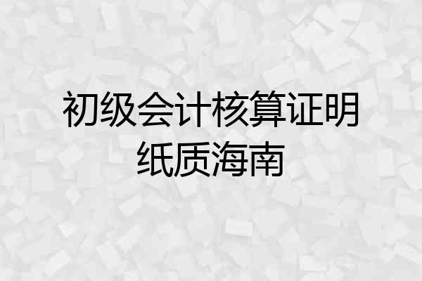 初级会计核算证明纸质海南