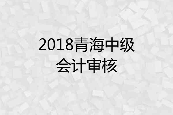 2018青海中级会计审核