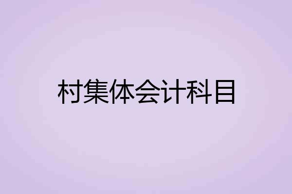 村集体会计科目