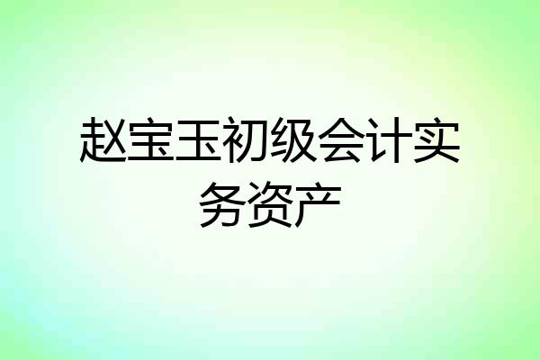 赵宝玉初级会计实务资产