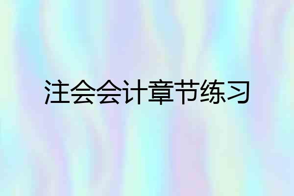 注会会计章节练习