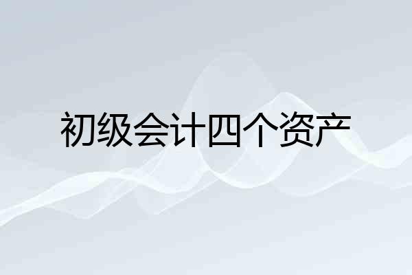 初级会计四个资产
